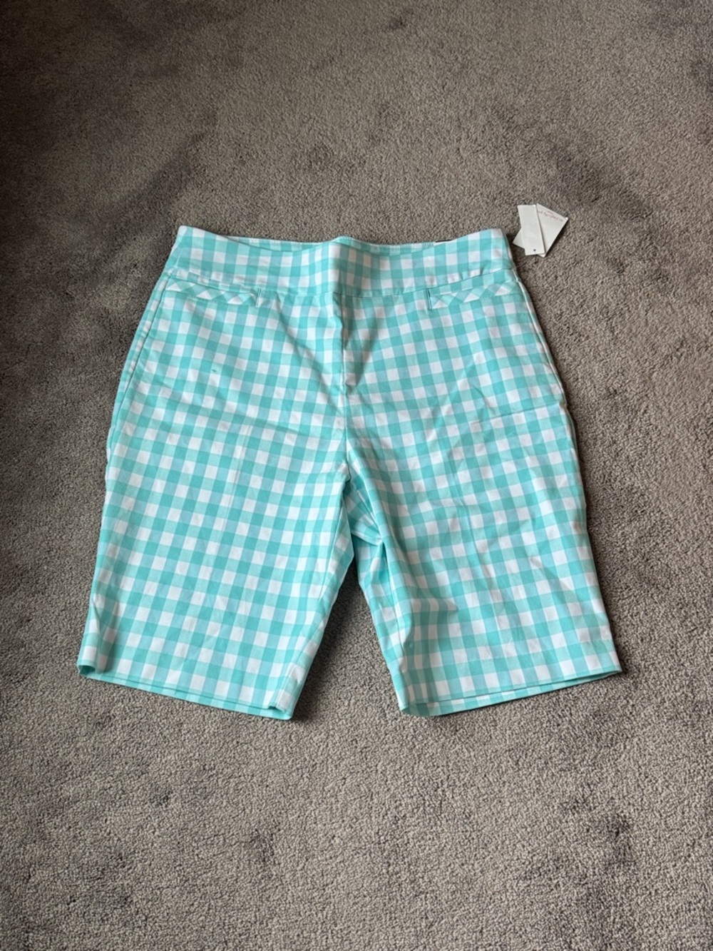 Kim Rogers Aqua Green White Gingham Pull On Tummy Control Bermuda Shorts SIZE 18